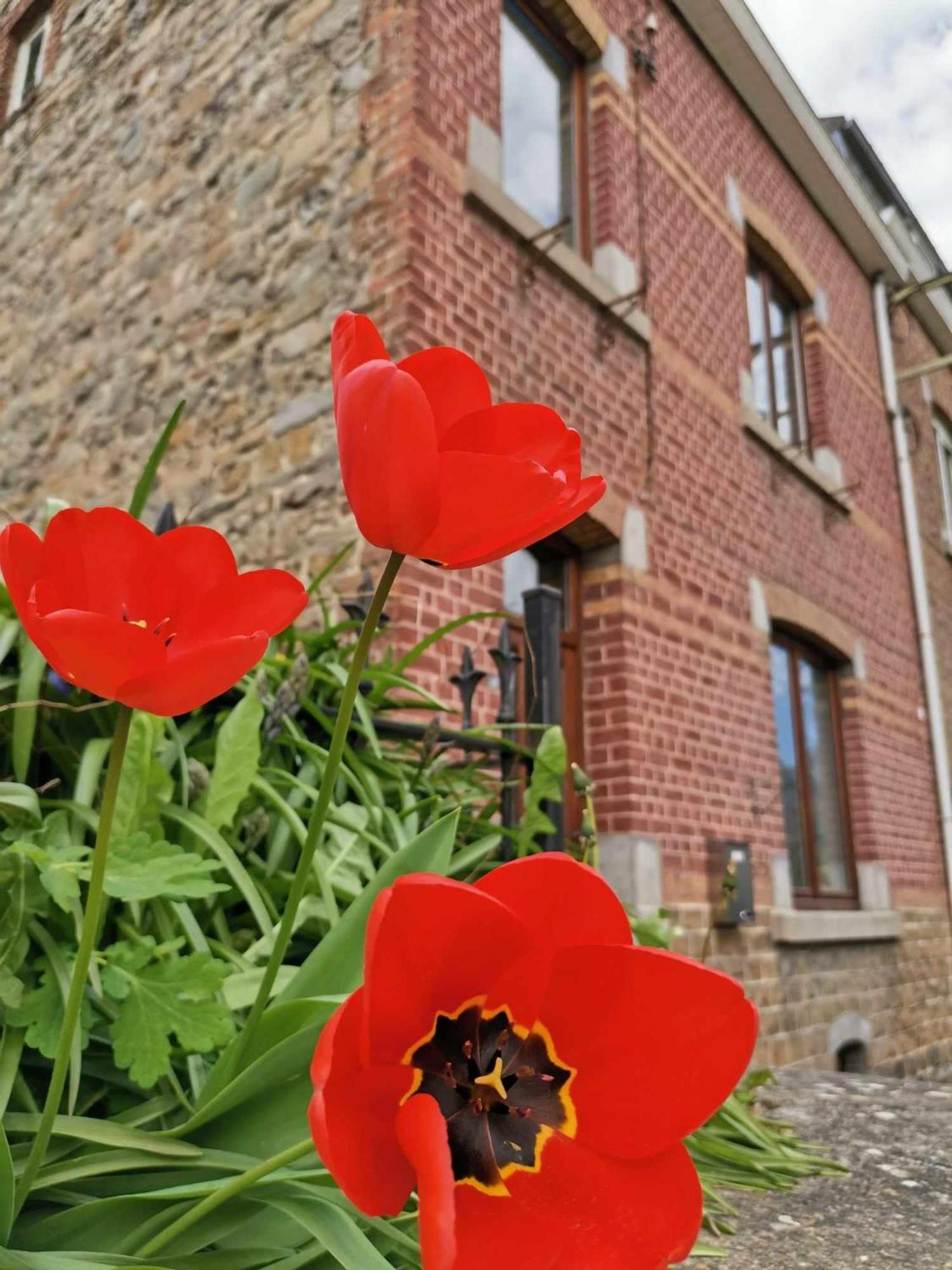 L'Echappee Belle Guest House Aywaille Exterior photo